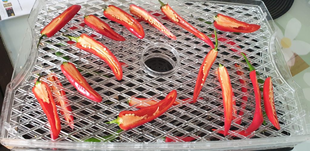 Dried Chillies