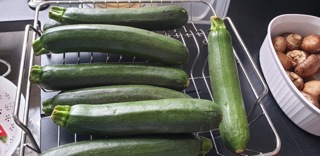 Gluten Free Zucchini Chips