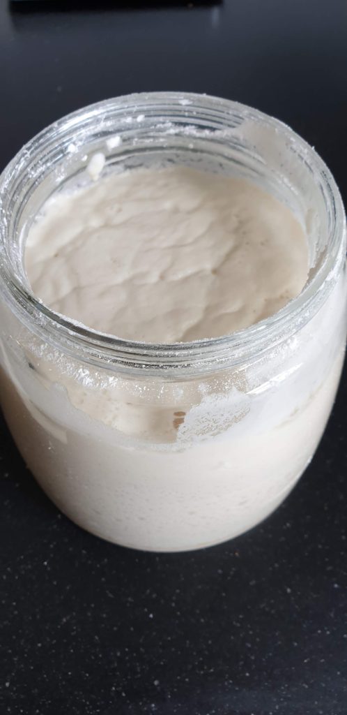 Gluten Free Sourdough Starter