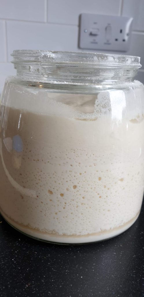 Gluten Free Sourdough Starter